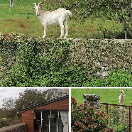 Maison De Charme A Sur Sienne Avec Jardin Clos * Gavray-sur-Sienne